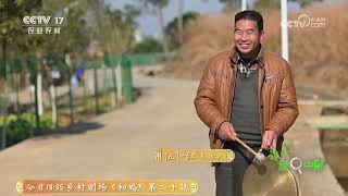 《谁知盘中餐》 20250404 山水知味 好味香飘山水间 | 农业致富经 Agriculture And Farming
