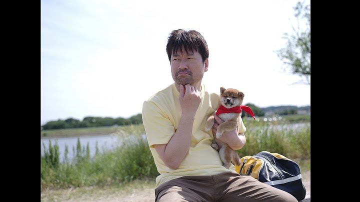 『幼獣マメシバ 望郷篇』映画オリジナル予告編（特報）