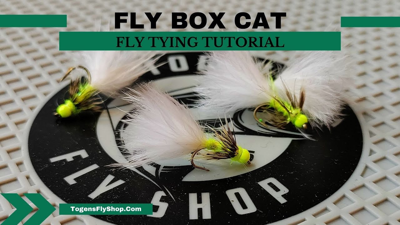 Fly Box Cat - Fly Tying Tutorial 