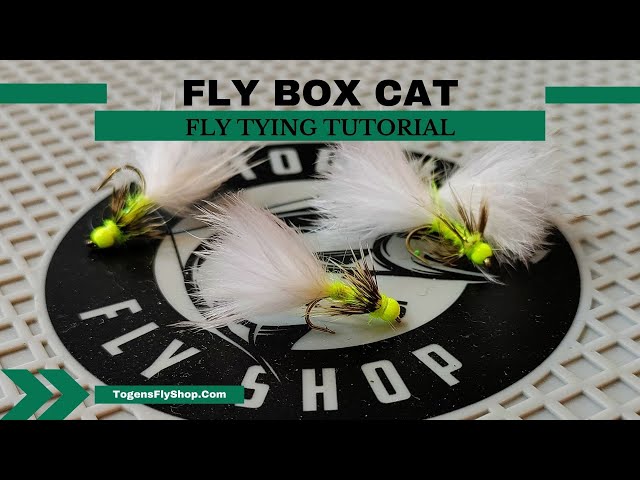 Fly Box Cat - Fly Tying Tutorial 