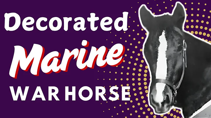 The War Horse Who Became a Marine Corps Hero | Sergeant Reckless