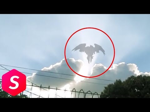 Video: Seberapa sering malaikat terbang?
