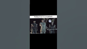 Fallout nv in a nutshell