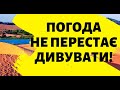 Спека не відступає: сьогодні в Україні вдарить до +32°, у п&#39;яти областях - дощі та грози