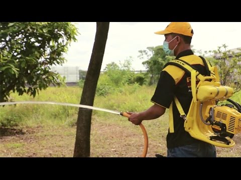 Video: Apakah saya perlu mencampur gas dan minyak di mesin pemotong rumput saya?