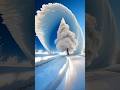 Nature ka Ajab Karishma | Snow Tree Illusion 🌨️ #Shortsshorts#snowfall#winter#nature#naturebeauty