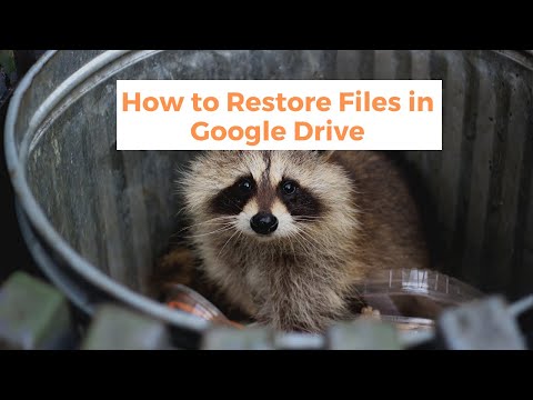 How To Recover Deleted Files From Google Drive - How to Restore Files in Google Drive