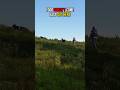 Goats Don’t Go Down Easy in DayZ.. 😅