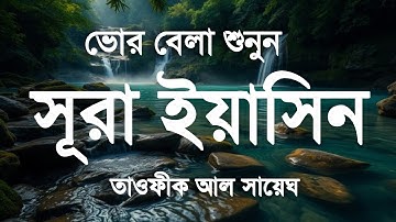 সুন্দর কুরআন তিলাওয়াত প্রতিদিন সকালে শুনুন সূরা ইয়াসিন (سورة يس) Surah Yaseen By TOWFEEQ AL SAYEGH