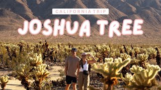 48HRS  IN JOSHUA TREE: Pioneertown, Yucca Valley, & Joshua Tree NP 🌵