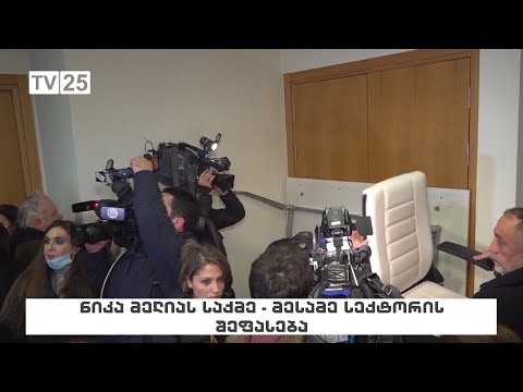 ნიკა მელიას საქმე - მესამე სექტორის შეფასება