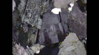 Plagioclase polysynthetic twinning in metagranite