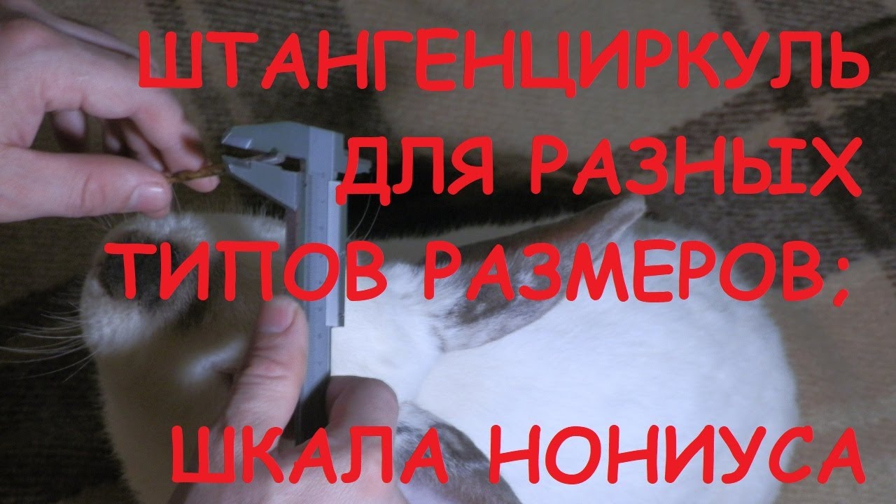 Штангенциркуль: зачем и каким образом пользоваться. Шкала Нониуса ...
