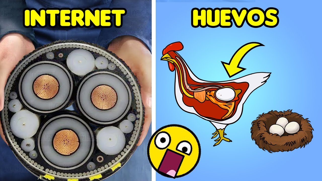 10 Cosas Que No SabÍas Cómo Funcionan 😲🥚 Detoxomoroxo Youtube 