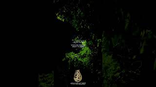 اواخر سورة البقرة بصوت جميل جداً للقارئ عبدالرحمن نصر♥️🎧