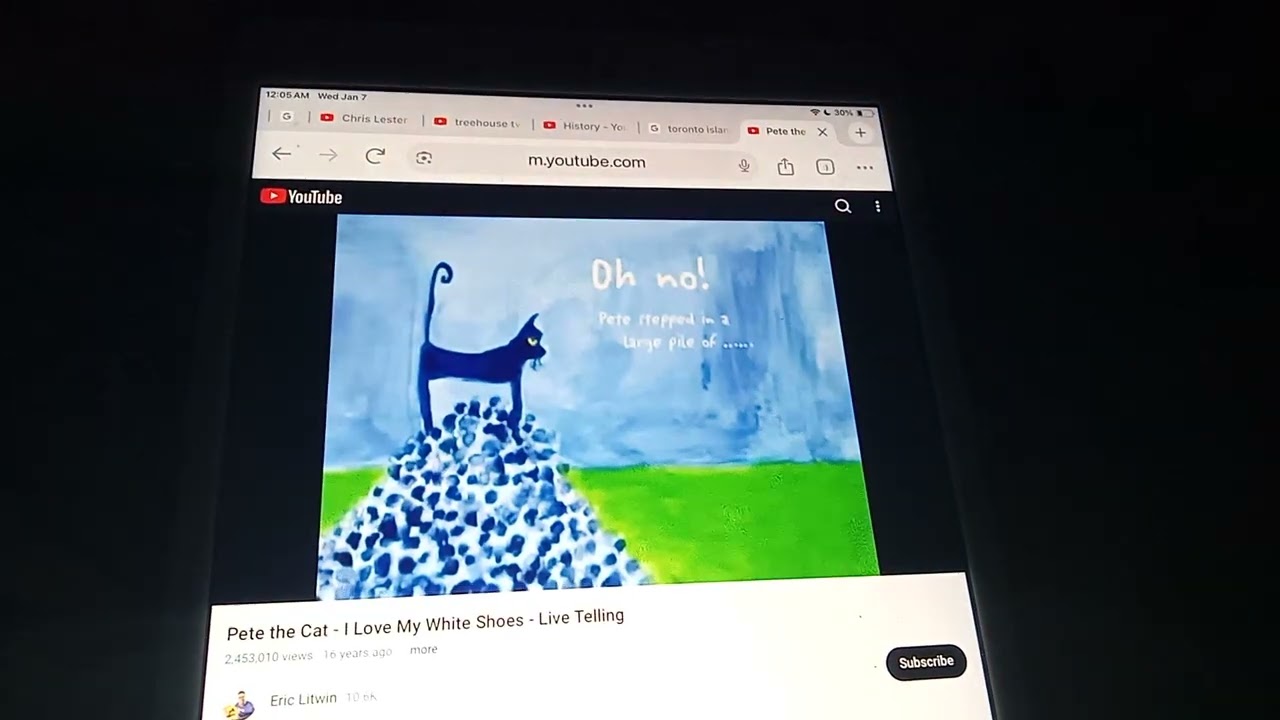 Dora the Explorer and of course Pete the cat 