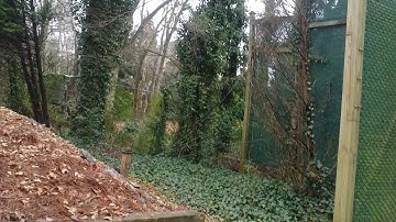 The Tree Spot Tree Service Team! Job Done 770-568-7631