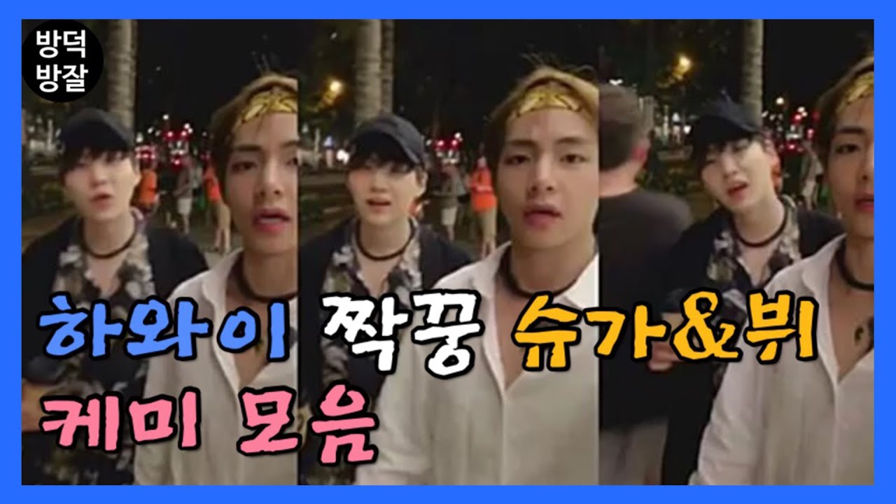 [방탄소년단/슈가&뷔] 환상의 하와이 짝꿍 케미 모음