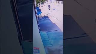 paraquedista cai em fiação elétrica em uma casa em sp , ninguém se feriu