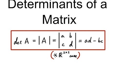 Determinants of a Matrix
