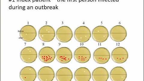 results of epidemic simulation lab