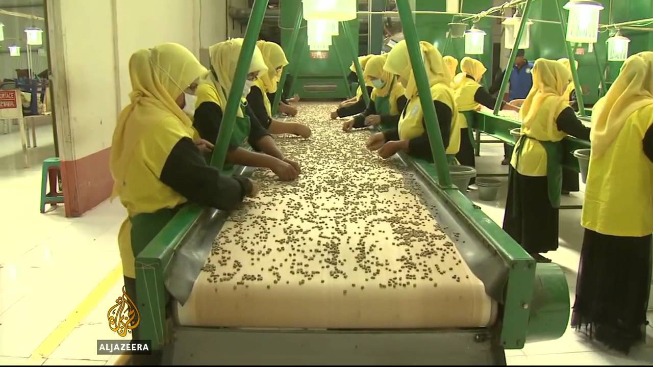 إندونيسيا تحقق أرباحاً أعلى من إنتاج البن
