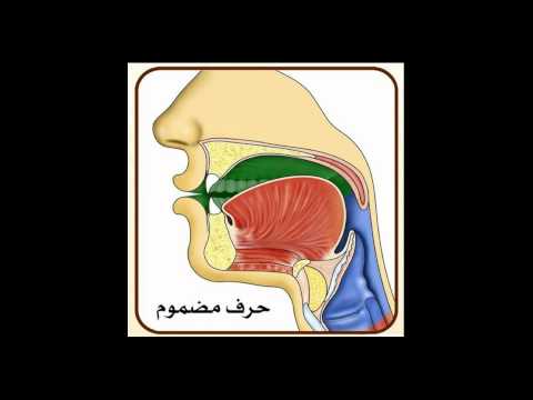 حرف مضموم