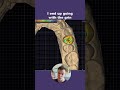 Designing with Rough Scans
