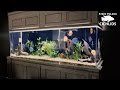 Two 500 Gallon Tanks in One Living Room! Two 500 Gallon Tanks in One Living Room!
