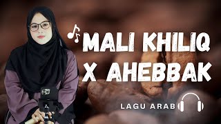 MEDLEY MALI KHILIQ X AHEBBAK Cover Khanifah Khani