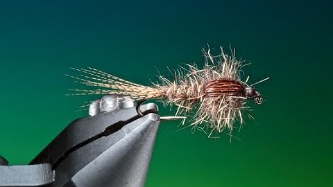 Fly tying Hare