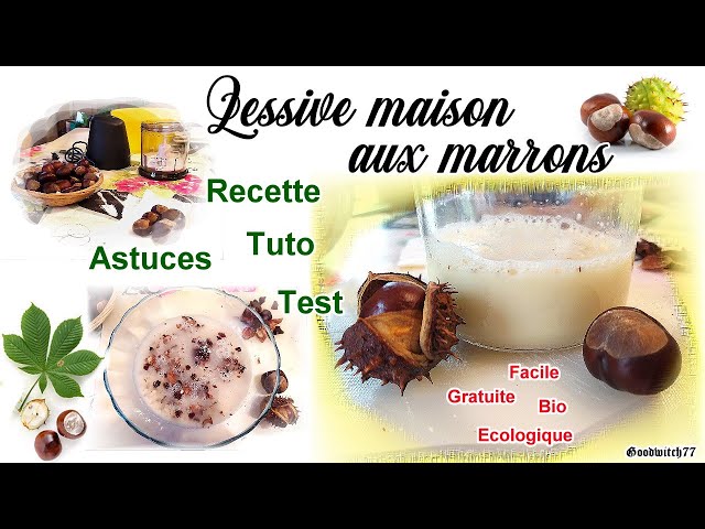 Lessive maison : Recette écolo (et pas chère) à base de marrons - WE DEMAIN