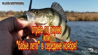 Рыбалка в Ростовской области. Отрыв по окуню или 