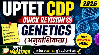 UPTET CDP Quick Revision 2026 | Genetics (अनुवांशिकता) Most Important MCQs | UPTET Marathon | 