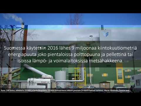 Video: Kuinka Pitää Puu Elossa Pidempään