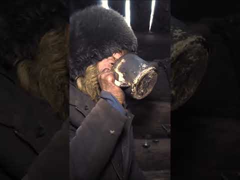 Откровения отшельника