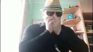 Animals -- House of the Rising Sun harmonica cover