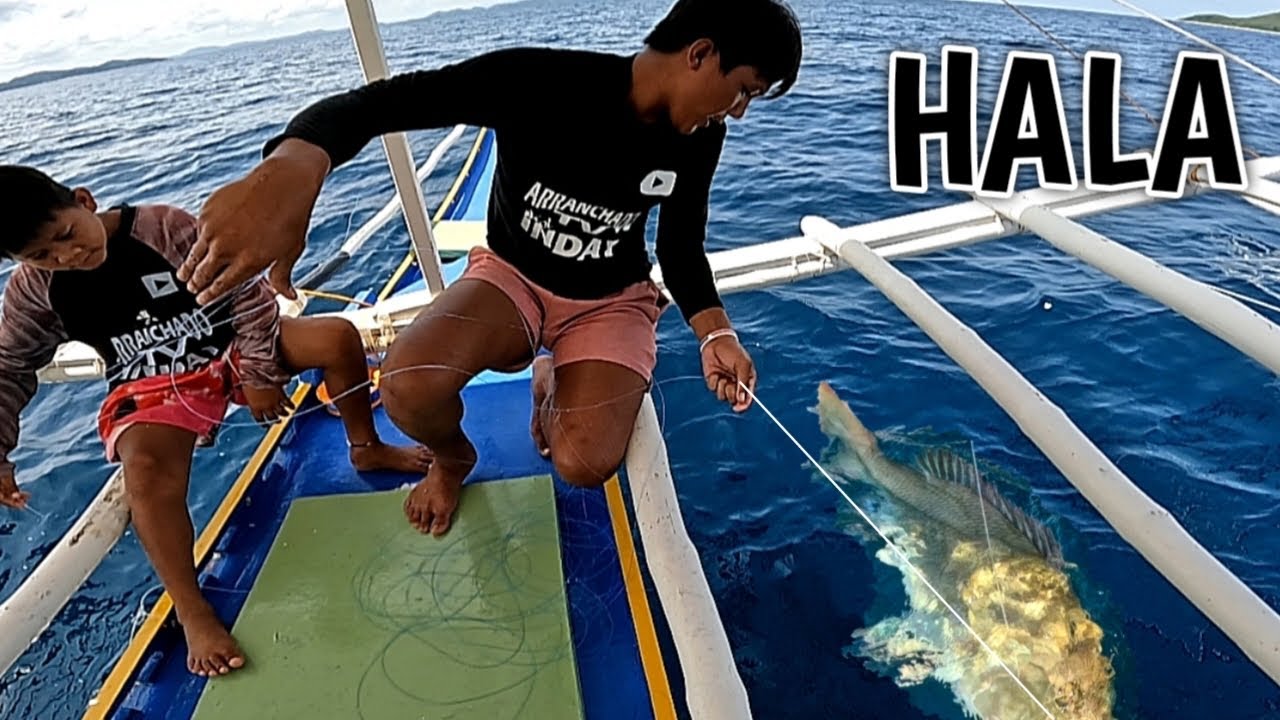 Nagkasabay | malaki na | mamahalin pa 😊