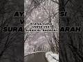ayat ul kursi #hijab #love #quran #quranicblessings #live #reel #shorts #fyp #viral #voiceeffects