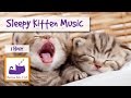 Sleepy Kitten Music! The Perfect Music to Make your Kitten Calm Down and go to Sleep!