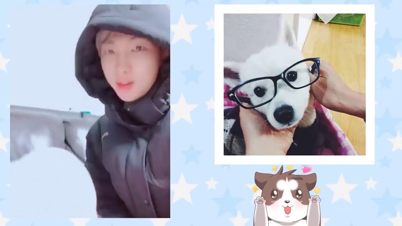 MASCOTAS DE BTS YouTube MASCOTAS DE BTS YouTube