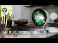 5 Indoor Vertical Farm | Future of Farming ▶ 4