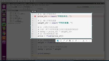 黑马程序员 Python 教程： 071 变量的输入输出 06 单步执行确认变量数量
