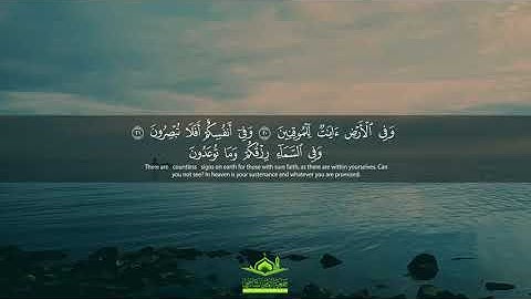 تلاوة رائعة: " وَفِي الْأَرْضِ آيَاتٌ لِلْمُوقِنِينَ" | سورة الذاريات | قرآن
