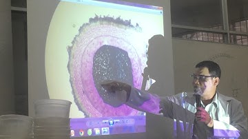 Thực hành thực vật dược DS15ĐH p3