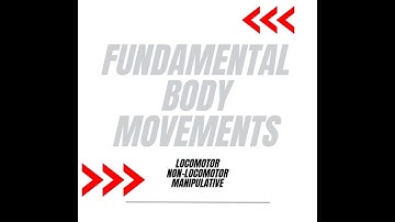 FUNDAMENTAL BODY MOVEMENTS (Locomotor, Non-Locomotor and Manipulative Movements)