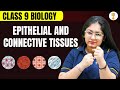 Epithelial and Connective Tissues | Class 9th Biology | Complete NCERT Explanation | Rankplus