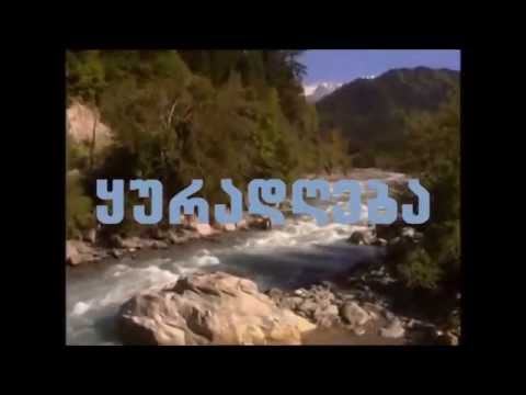 \"დახატული საქართველო\"