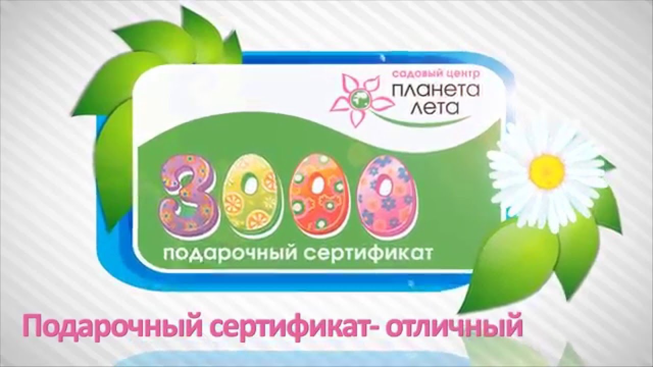 Интернет Магазин Планета Лета Интернет Магазин Планета Лета