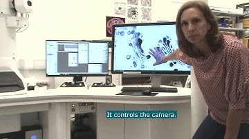 1  Microscope overview and controls v1   TEM Video Manual NM